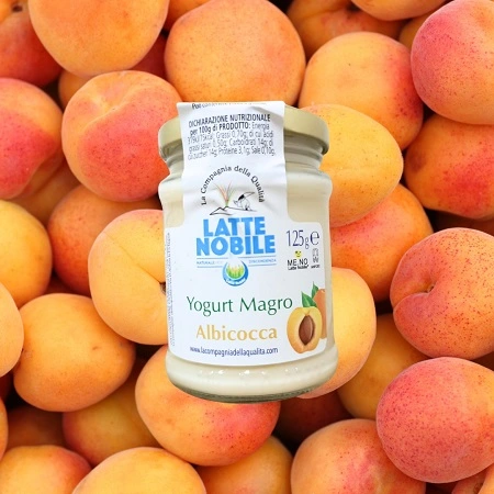 Yogurt Nobile Magro albicocca